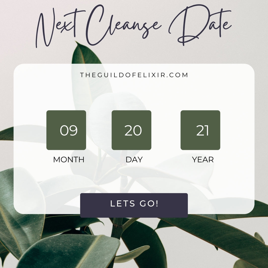The 10-Day Juice Cleanse System Atlanta